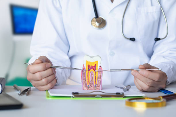 Best Emergency Gum Pain Relief  in New Lebanon, OH
